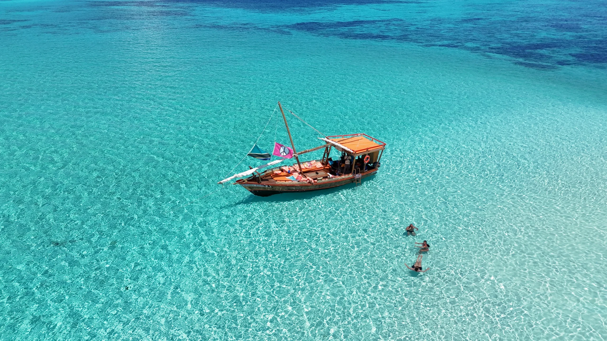 dji_fly_20250309_20626 PM_0669_1741519672854_photo