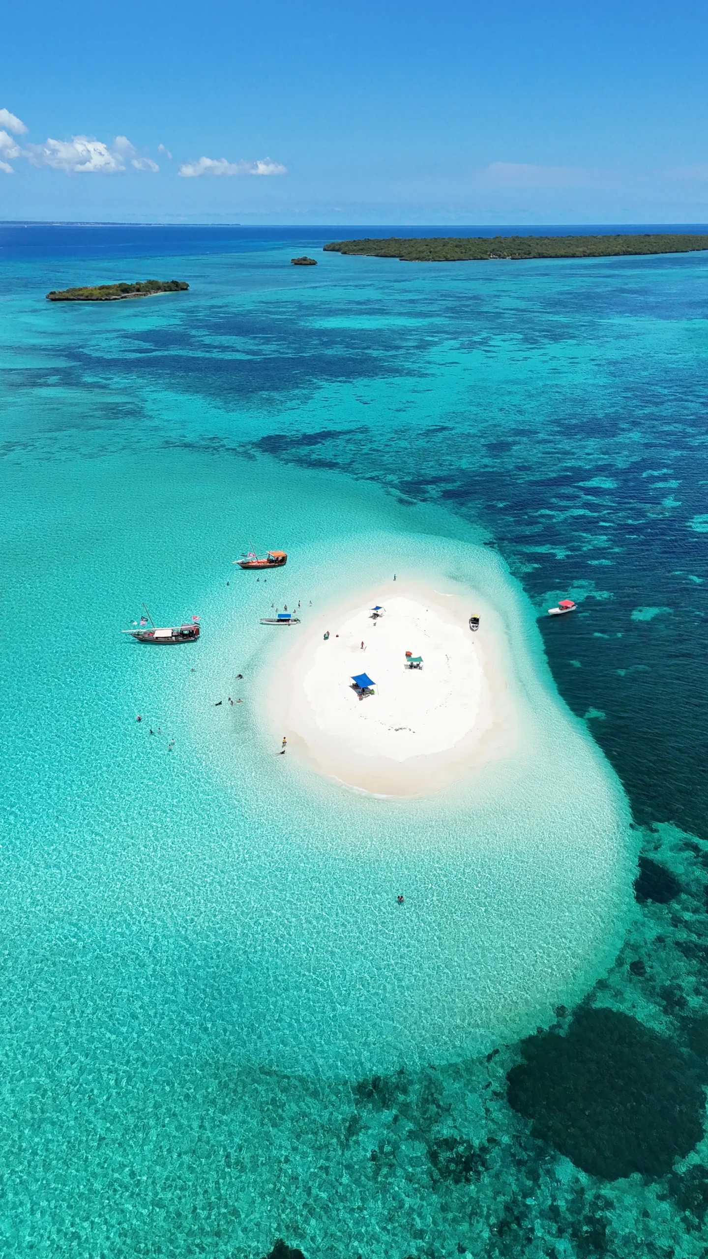 dji_fly_20250309_21018 PM_0681_1741519635440_photo